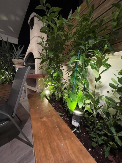 Acropolis Lux Apartment Афины Экстерьер фото